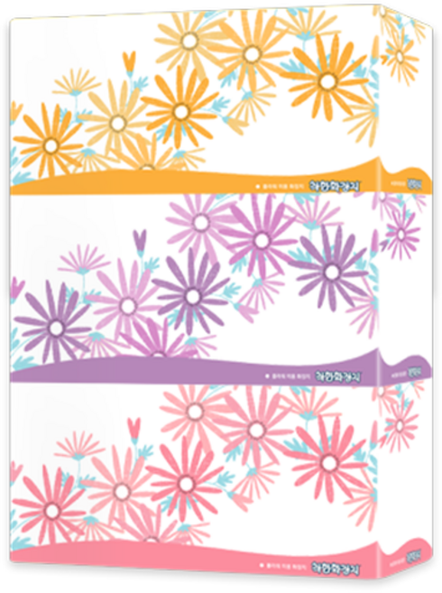 착한화장지 미용티슈 플라워 2겹 250매 24각, 24개, 250개입