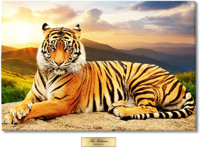 액운을 막아주는 풍수 그림 호랑이 백호 액자, 08.일출 호랑이, 가로형 7호 45x30(cm)