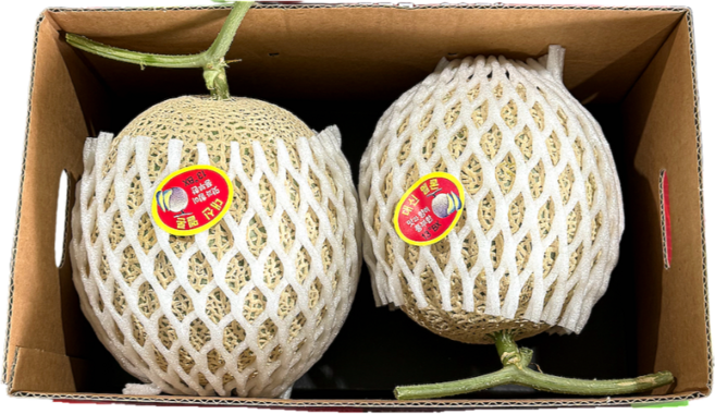 국내산 초고당도 머스크 메론, 1개, 2수 3.0KG/*내외