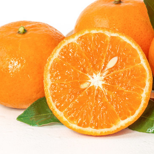 [100박스한정] 산지직송 꿀당도 제주 카라향, 1세트, 5kg