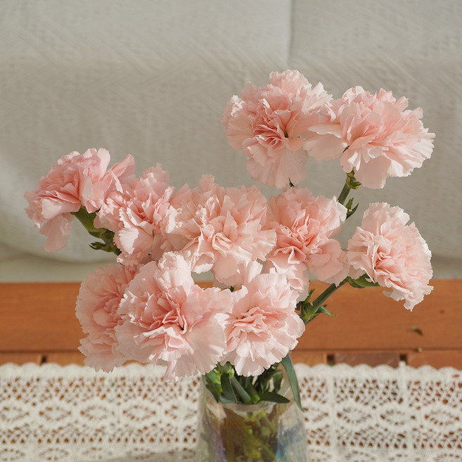 [플라워팜팜] 어버이날 대륜 카네이션 10송이 3 colors 생화 꽃배달, 핑크, 1개