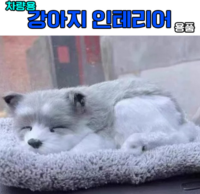 원풍룽 차량용 숯먹는 탈취용품 동물인형, 1개, 허스키 모자