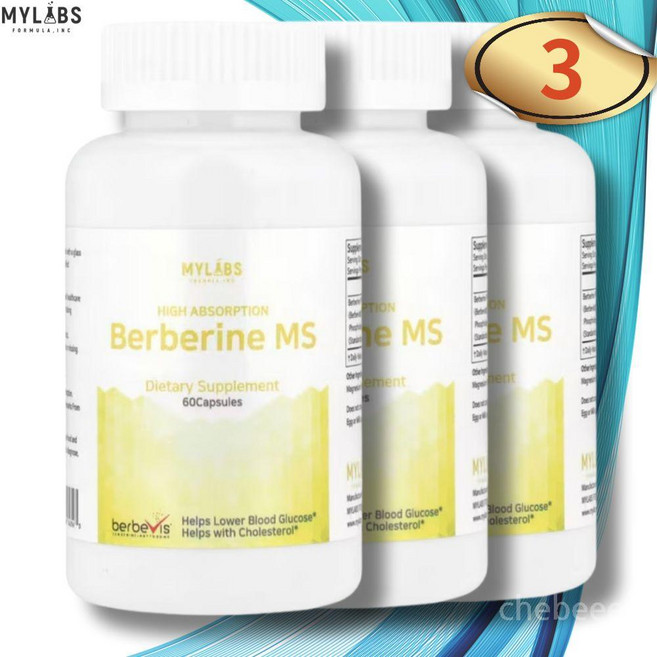 마이랩스 베르베린 550mg 파이토솜 파이토좀 베르베비스 MS 60캡슐 3병