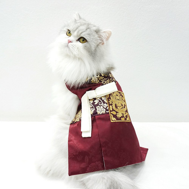 호나미네 강아지한복 고양이한복 화랑 왕자 한복, 자주, 1개