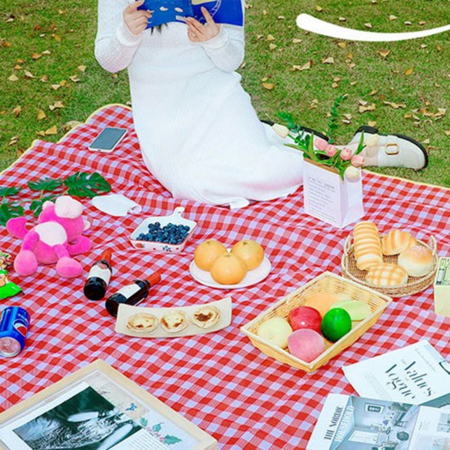 FOBIELLA 아웃도어 캠핑돗자리 매트, (대형 200x200) 레드