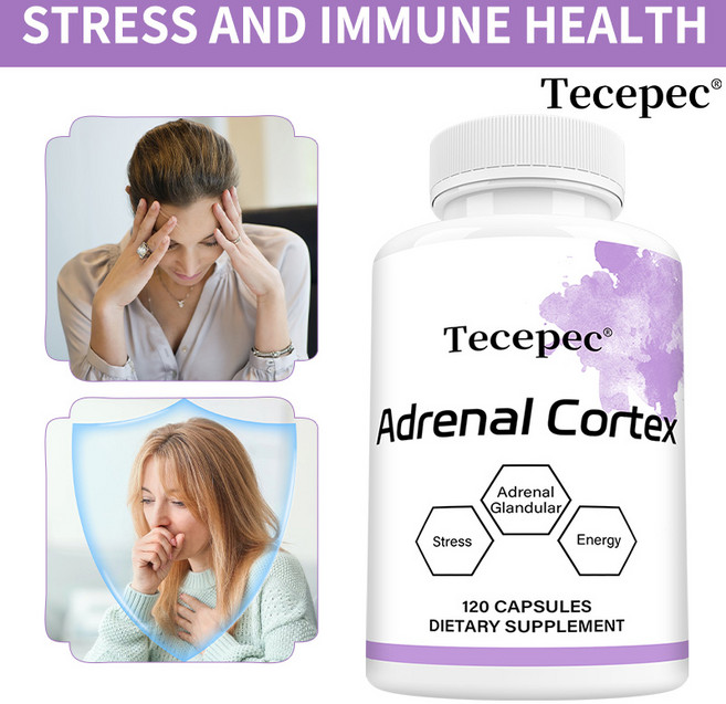 부신 피질 - 코티솔 관리를 위한 소 부신 피질 보충제 - 건강한 부신 기능 면역 체계 스트레스 관리 에너지 피로 완화 및 신진 대사 지원 - 120 캡슐, 60캡슐, 1개, 120정