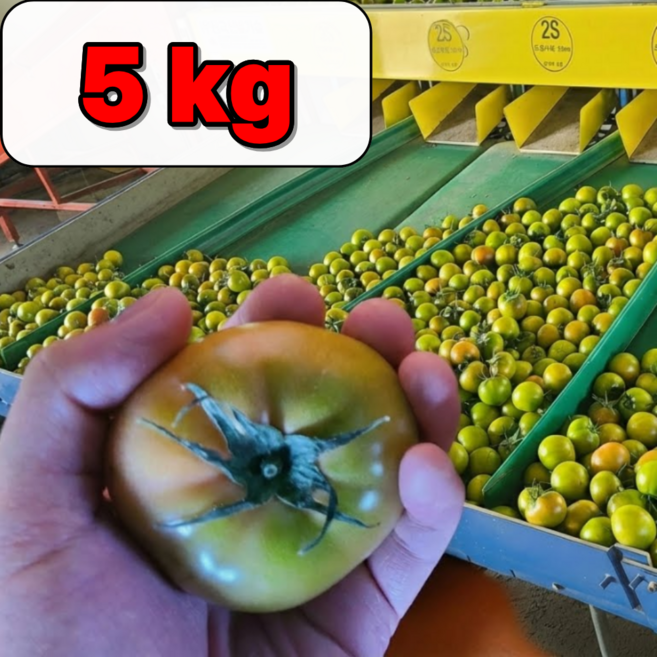 [초특가] 부산 대저토마토 짭짤이 못난이, 1박스, 못난이 5kg (2S-L)