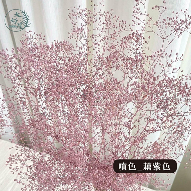 大好屋 迷你滿天星 百萬星 永生花乾燥花 花藝配花 室內裝飾, 百萬星, 藕紫
