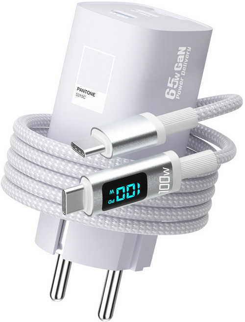 팬톤 접지형 GaN PPS 65W 3포트 디스플레이 초고속 멀티충전기 PD65WGN, 1개, 그레이