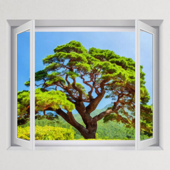 꾸밈 cu266-속리산정이품송창문그림액자(중형) 액자, G타입-모던블랙