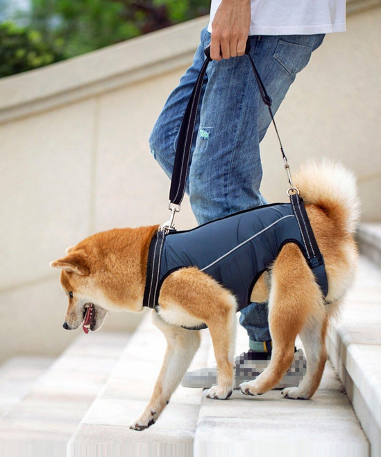 강아지 보행 보조 하네스 노견 슬개골탈구 전신 반려견