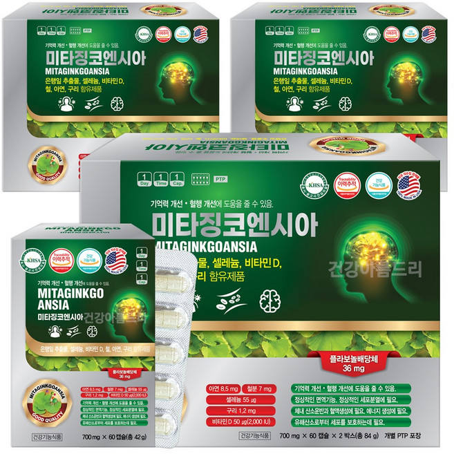 미국 미타징코엔시아 120캡슐X3박스 은행잎추출물 기억력 혈행개선 에 도움을줄수있음, 120정, 3개