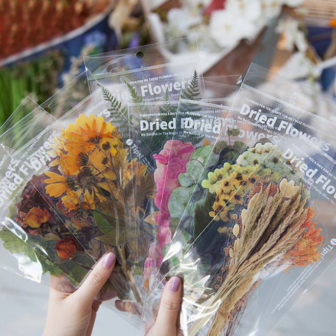 꽃 플라워 압화 드라이플라워 스티커 다이어리꾸미기 8종, 4.들국화 (ST-943)