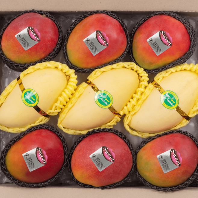 [항공직송] [당일배송] 태국 망고 프리미엄 혼합 세트 남독마이 망고 & 애플망고 가정용 선물세트, 1박스, 3.8kg-B