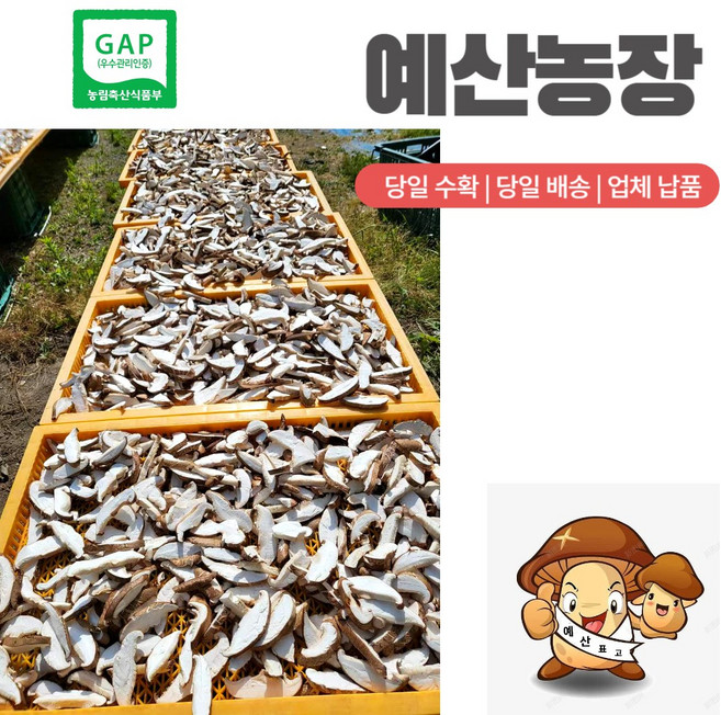GAP인증 자연그대로담은 건조표고버섯 농장직송 말린 마른 200g/봉 슬라이스 다시용 국물용 육수용 김장재료 행사이밴트 200g/봉, 200g, 10봉지, 1개