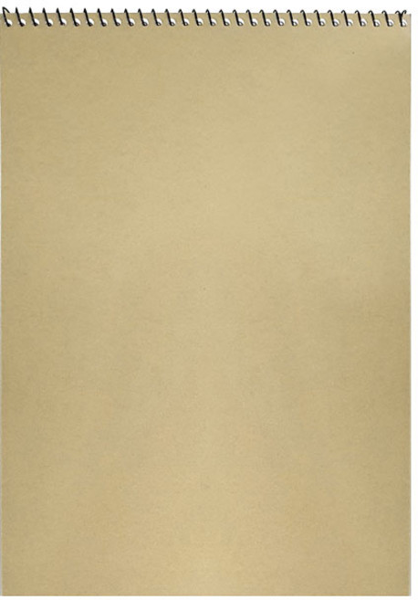 준전문가용 1000 크로키북 A4, 1개