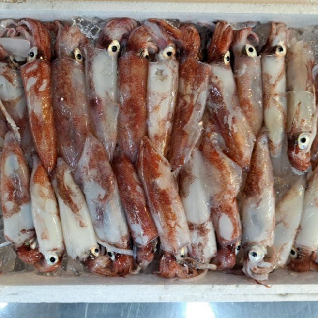 하이퍼팜 청정 제주 명품 한치 산지 직송 급냉 자연산, 1개, 500g(1팩)