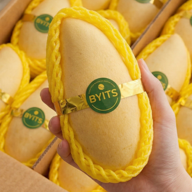 [백화점납품용] 22brix 프리미엄 태국 골드망고, 1박스, 5kg 대과(12수)