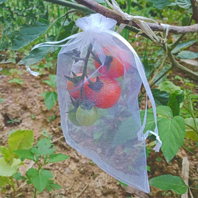 水果套袋防鳥防蟲專用網袋 尼龍材質 保護果實, 1個, 20x30cm防鳥袋 /50個