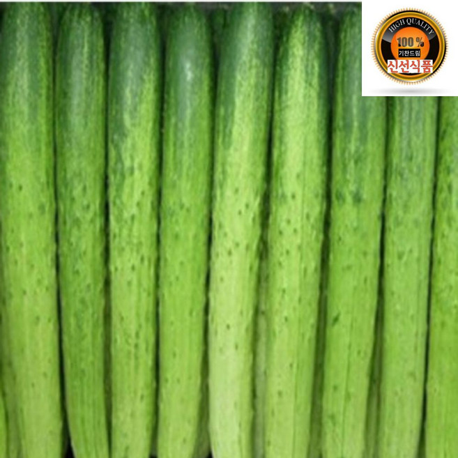 국내산 백오이 특품, 1개, 백오이특품10kg(50개내외)