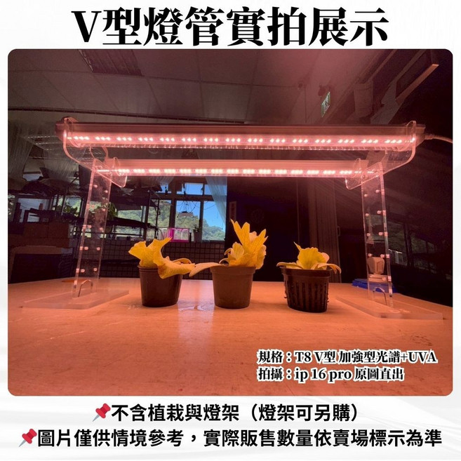 君沛 一體式 T8 紫外線LED植物燈, 1個, V型 3呎 加強型光譜+UVA