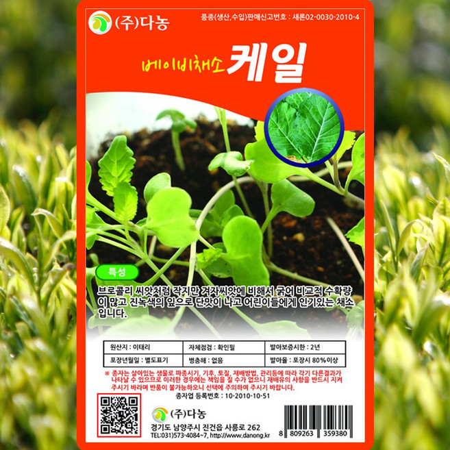 다농 베이비케일 씨앗 10g 베이비 케일씨 종자, 5개