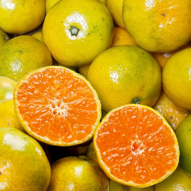 귤 제주감귤 감귤 노지감귤 쥬스용 왕귤, 1박스, 5kg (실중량4.5kg)