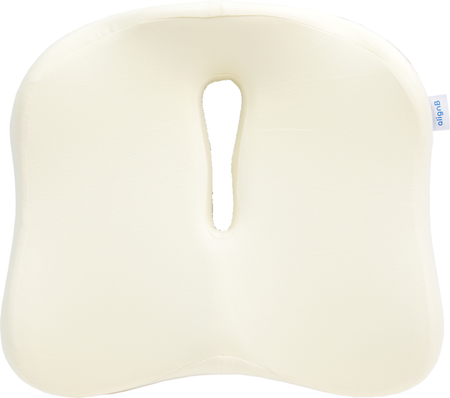 얼라인비 메모리폼 기능성 방석 허리부담 골반압박 엉덩이 자세 완화, 1개