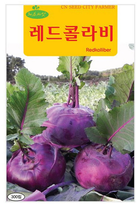 세인화분 레드콜라비씨앗 300립 콜라비씨 레드 콜라비 씨앗, 1개