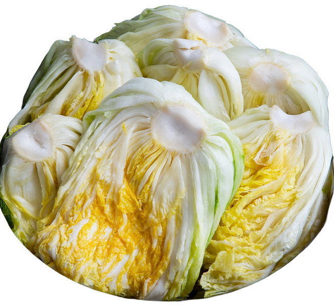 해남절임배추 20KG HACCP 절인배추 좋은세상협동조합, 1박스, 01월 29일(목), 01월 30일(토)도착