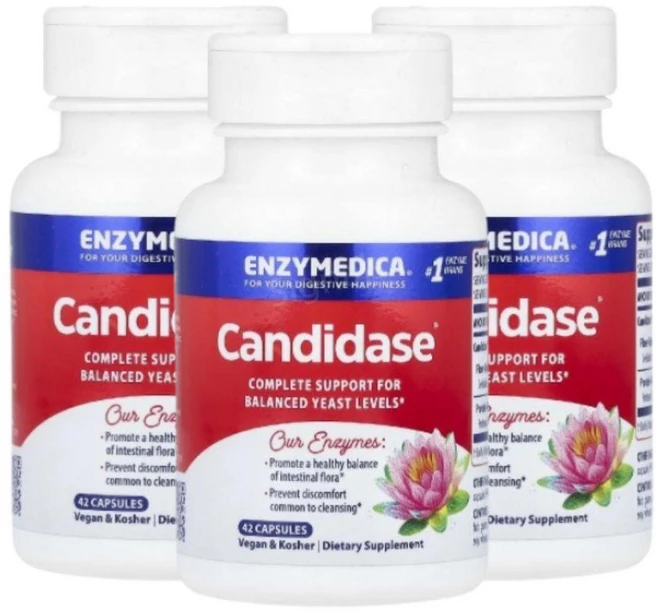 엔자이메디카 캔디다스 엔자임 효소 42캡슐 3개 프로테아제 셀룰라아제 Candidase, 42정 - 쿠팡