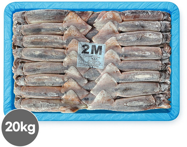 포크오징어 선동 원양산 오징어 20kg 채낚기 수입산 냉동, 채낚/포크오징어/S/20kg/원양