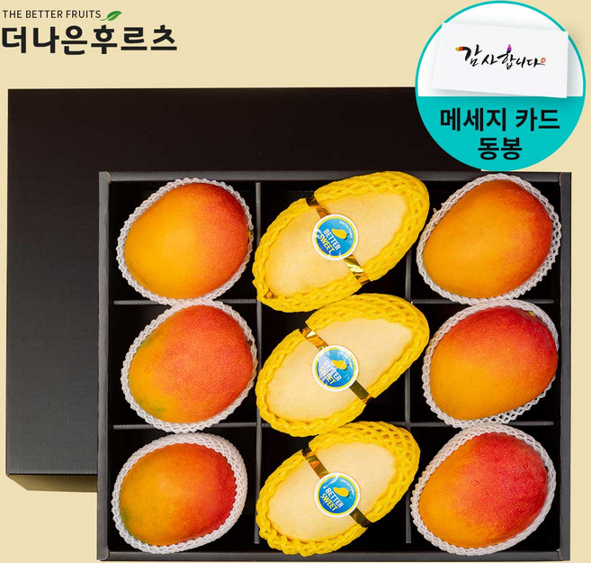[메세지카드 동봉] 백화점 식품관 직수입 태국망고 3입+애플망고 6입 선물세트 3.5kg 내외, 1개