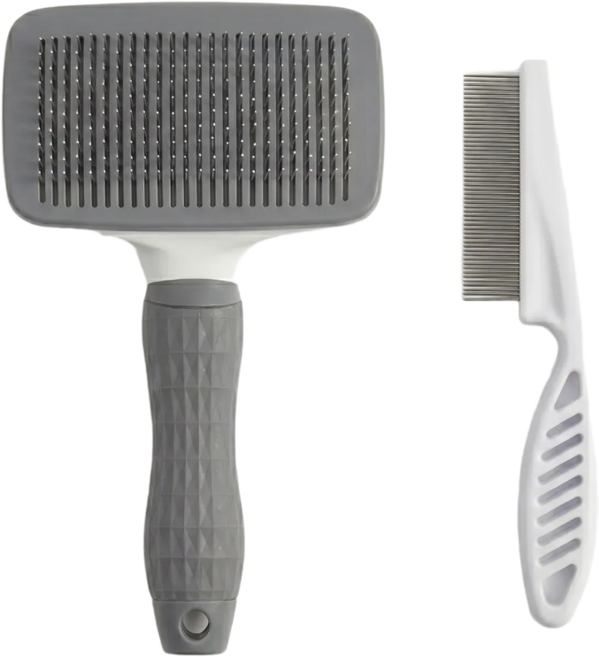 와이즈영 저자극 강아지 눈꼽빗 원터치 슬리커 브러쉬 세트, 1세트, 그레이