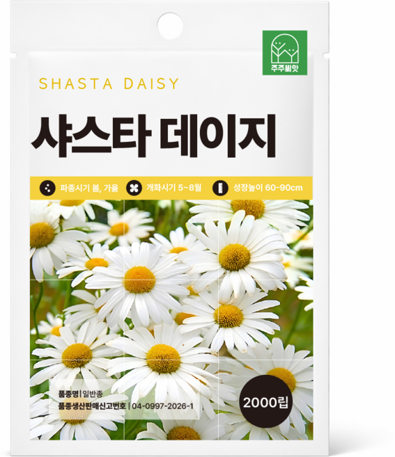 [주주씨앗] 샤스타데이지 씨앗 2000립 / 노지월동 다년생 야생화 꽃씨 씨앗몰, 1개