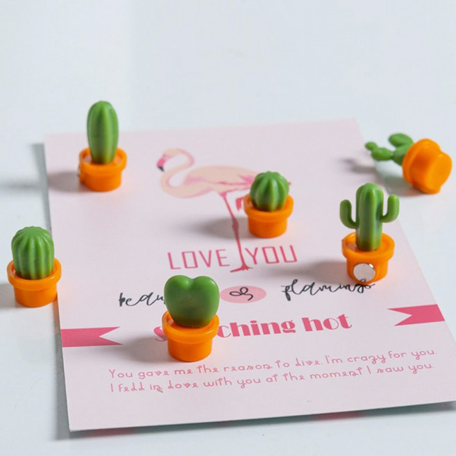 케이프타운 선인장 데코 마그넷, 오렌지