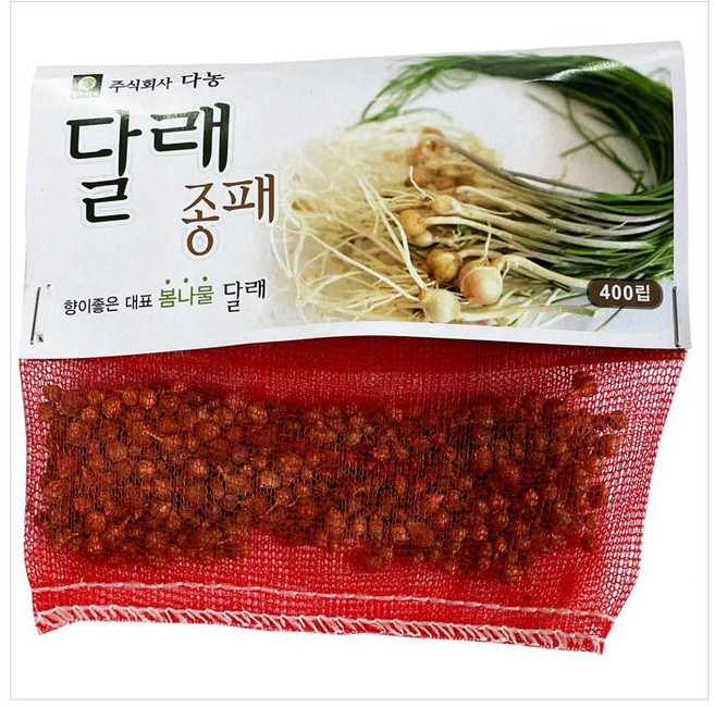 산채 씨앗 달래(종패) 400립, 1개