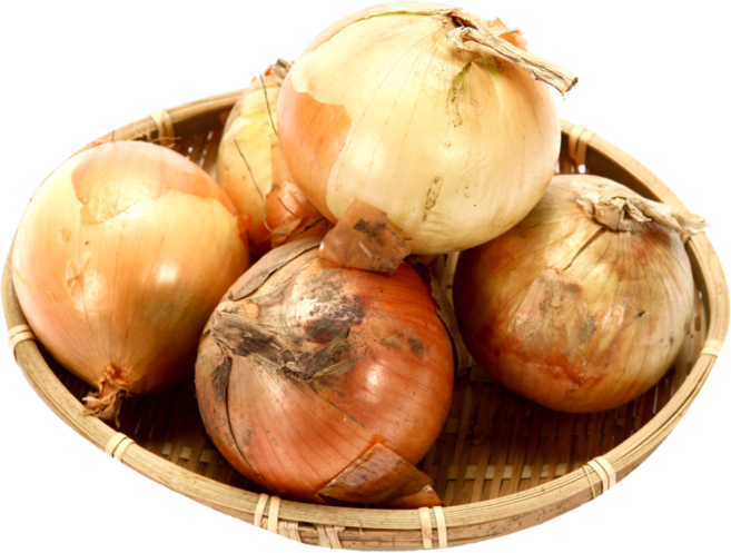 [자연바구니] 25년산 국내산 저장양파 1개, 10kg(중), 중