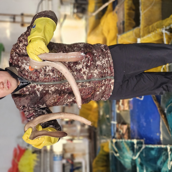 대한술꾼 선호 1위 국내산 기장명인 손질 활곰장어 특제소스증정, 1개, 손질활곰장어대500g(8미내외)