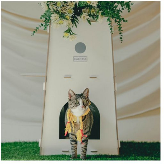 세븐펫 고양이 캣타워 공중정원, 1개