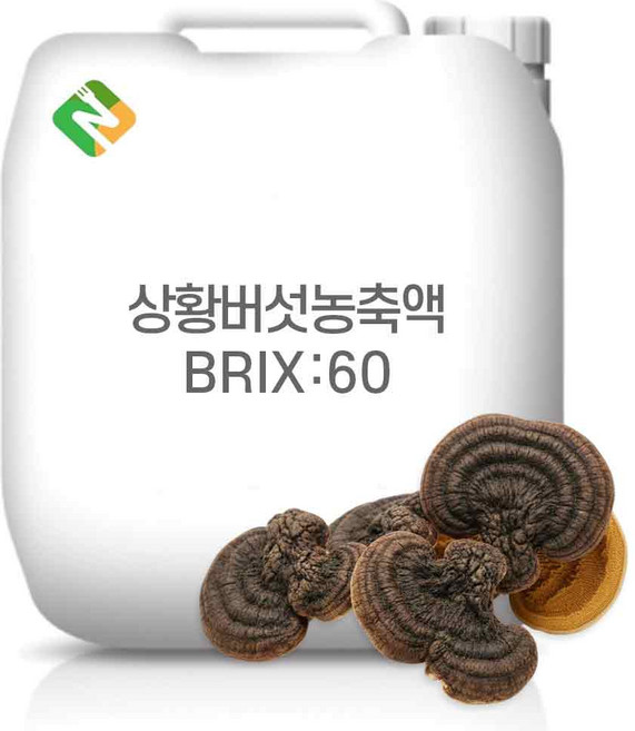 상황버섯농축액 60Brix 20kg, 1개