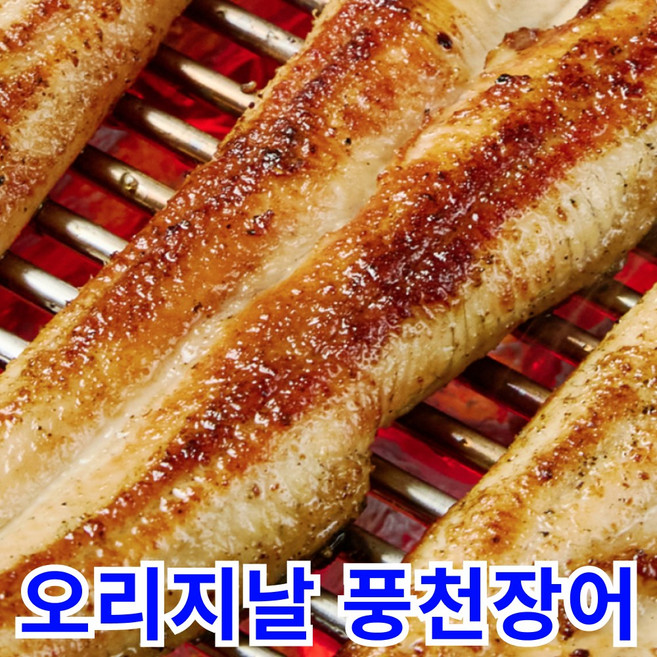 [당일손질-당일발송] 오리지날 자포니카 풍천장어, 1세트, 1kg (자포니카 풍천장어 손질후 700g 내외)