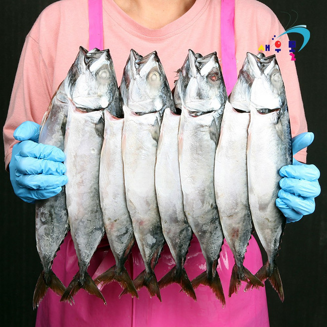 새우몰 국내산 간고등어 (특대) 8미 3kg 자반고등어 기름이 많아 고소함이 일품, 1개