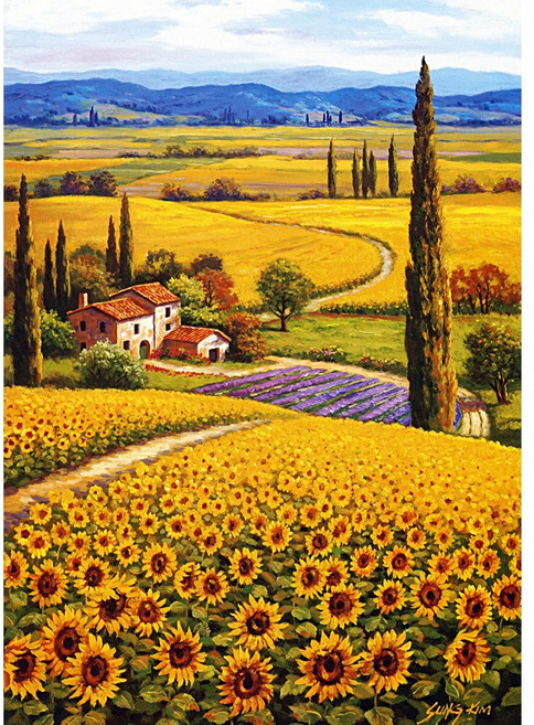 퍼즐라이프 해바라기들판 풍경 1000피스 직소퍼즐액자 PL1172, 옵션선택, 1개