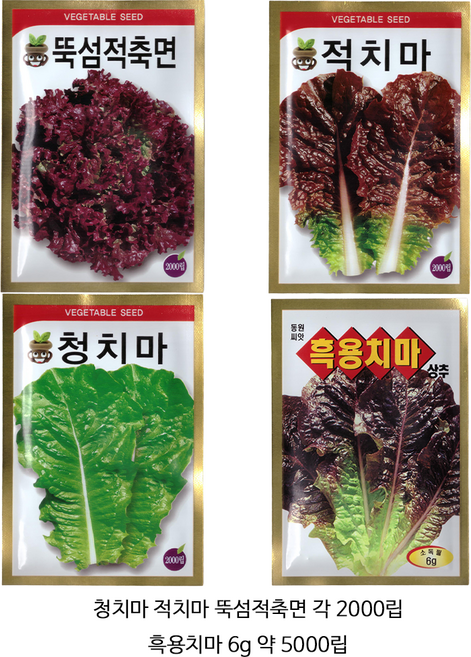 사계절 상추 씨앗 4종 세트, 1개