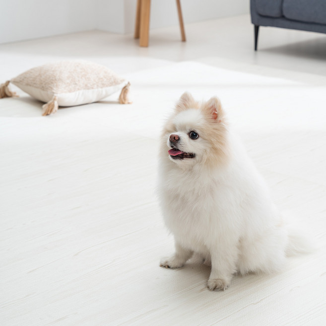 포포 강아지매트 애견 미끄럼방지 롤 매트 9mm, 소프트우드, 1개