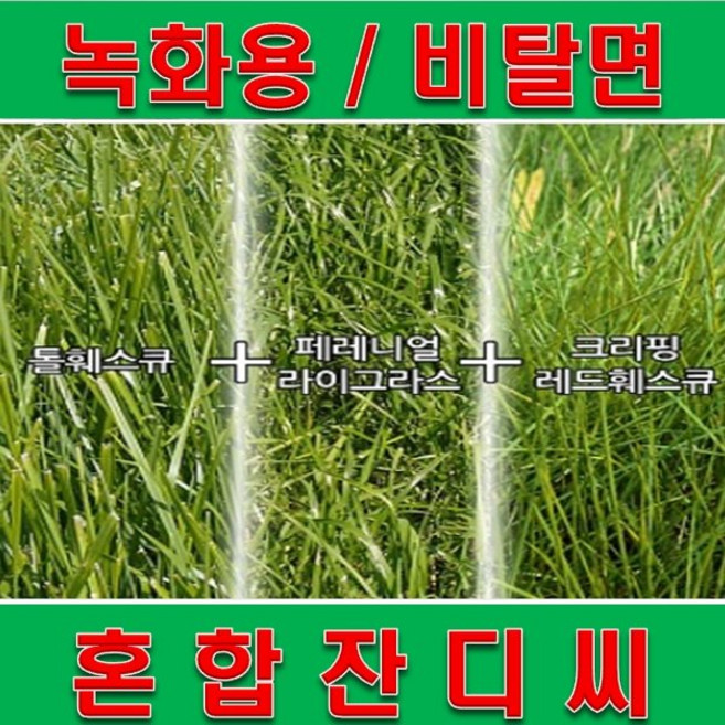 혼합 양잔디 녹화용-비탈면녹화용 풀씨 10kg(약120평), 1개