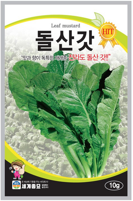 돌산갓 씨앗 Leaf Mustard seed 갓 김장 잎 채소 종자, 1개
