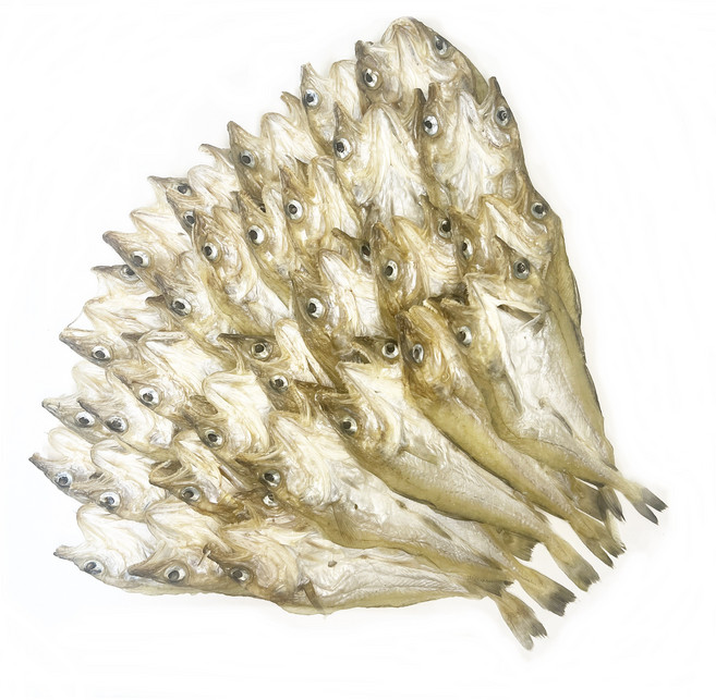 조미대구 편노가리 중, 1개, 1kg