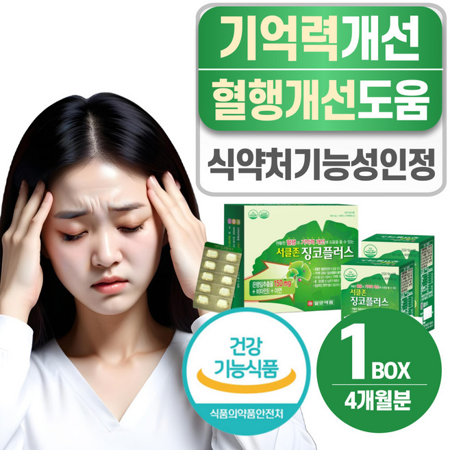 헬시위듀 뇌영양제 은행잎추출물 두뇌 기억력좋아지는법, 1개, 120정